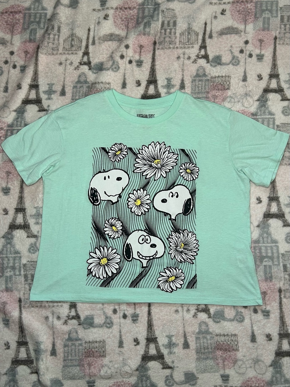 Peanuts Mint Crop Top with Snoopy & Daisy Graphic